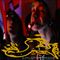 pet gecko prod.glauque