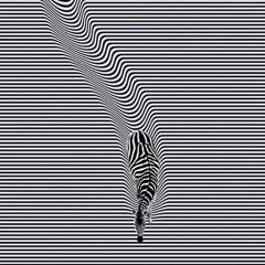 Unfolding Dreams