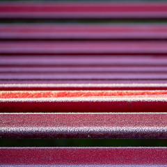 Velvet Express