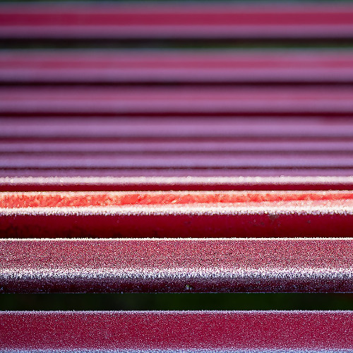 Velvet Express