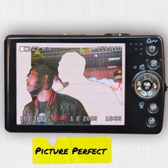 Picture Perfect - Triality333