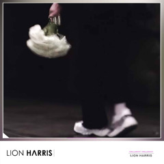 MilleniumKid x JBS – Vielleicht Vielleicht (LION HARRIS Techno Remix) *BUY=FREE DOWNLOAD*