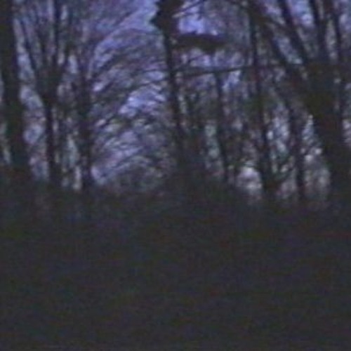 vu