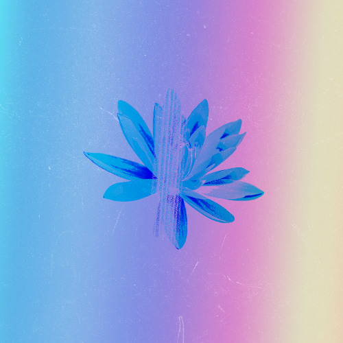 ANDROID52 - MONARCH