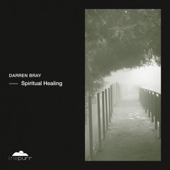 Darren Bray - Spiritual Healing (Original Mix)