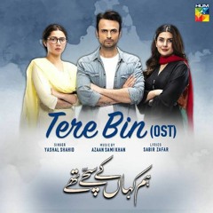 Tere Bin - Hum Kahan Ke Sachay Thay OST Lyrics  Hum Tv  Yashal Shahid Jashn-e-lafz ❤️
