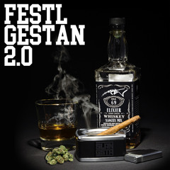 Festl Gestan 2.0