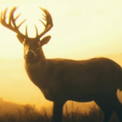 You always have a choice