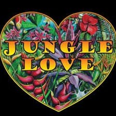 Ragga Jungle Drum & bass mix 178bpm Happy Valentines 2021