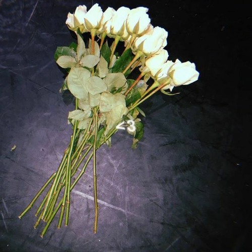 twenty something - nightly (slowed & reverb)