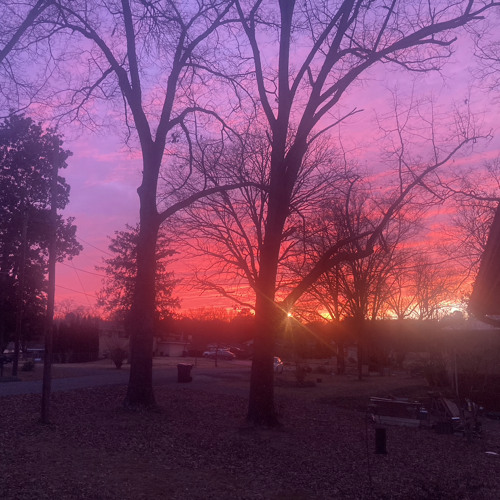 D&D OST - Cantus Terrae (Reprise)