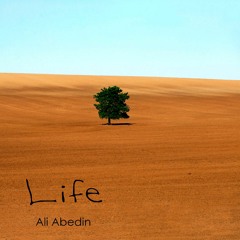 Life, Ali Abedin