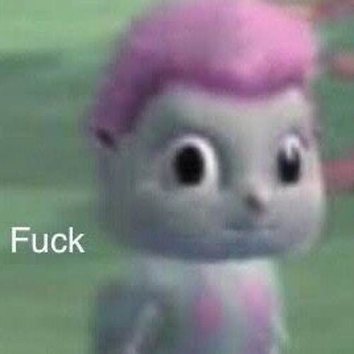 cs:go ,, pauk & nxfeit :)