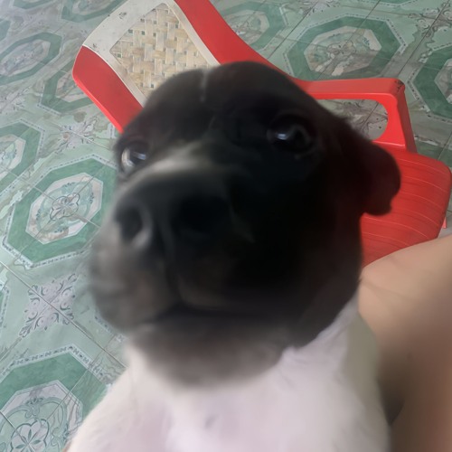GIOT SAU NAO VO NAT - Huy Gia X Cô Đơn  (1).WAV
