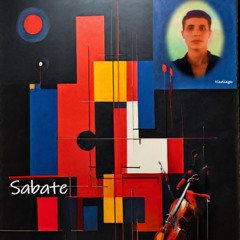 Violoncello and Piano By Nadiege Sabate No.16