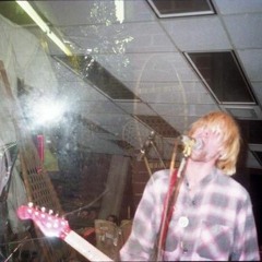 Territorial Pissings (Live Library 4300, the Evergreen State College, Olympia, WA, January 18, 1991)