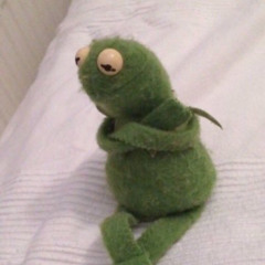 Feral Freestyle 11/8/25