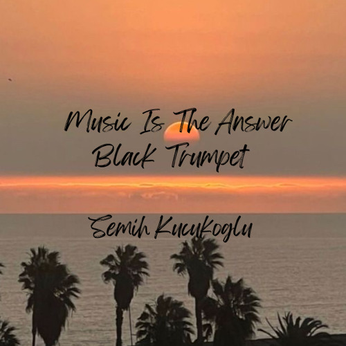 Music Is The Answer X Black Trumpet (Semih Kucukoglu - Mash Up)