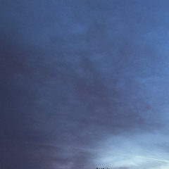 Without You