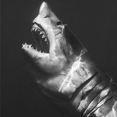 Terror Eimbert & Mindfxck - This Is For The Dark Sharks [210 BPM]