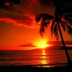 Lazy Island of Bliss