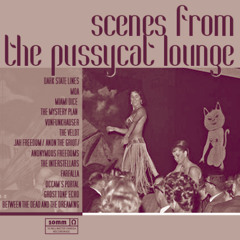 Shotwell Street (Carolina midnight mix)