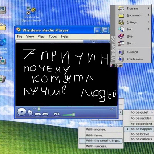 почему котята лучше