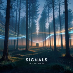 Signals in the Pines (Denver Edit)