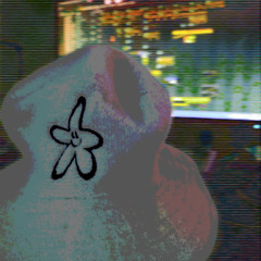 lsd333