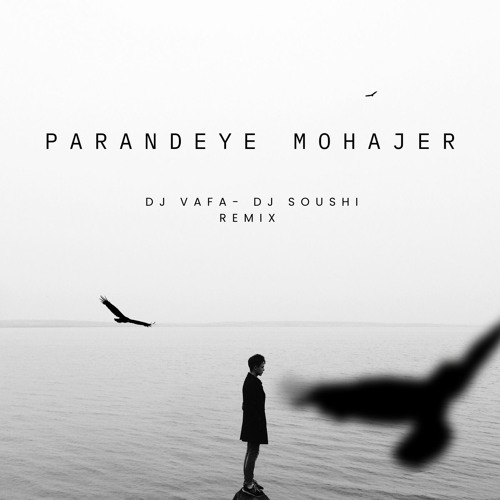 Parandeye Mohajer (DJ Vafa & Soushi Remix)