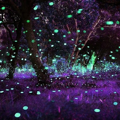 z1m2k & vrss - jetlag (chefstof + zachcs)