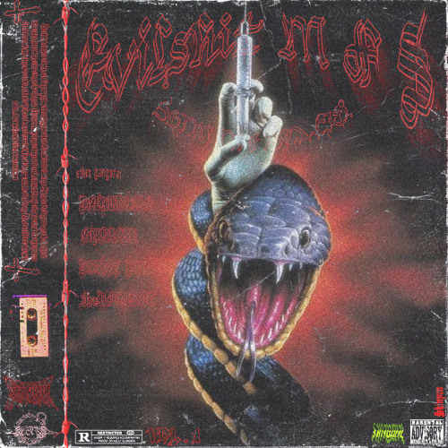 EVILSHIT MFS VOL.1 (MIXTAPE ALBUM) - SHINYUN & DJ ACID (DESC)