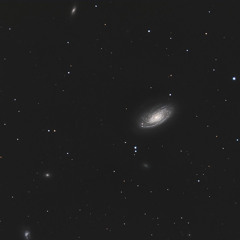 Cosmic Heartbeat (Are We The Only Ones Listening)