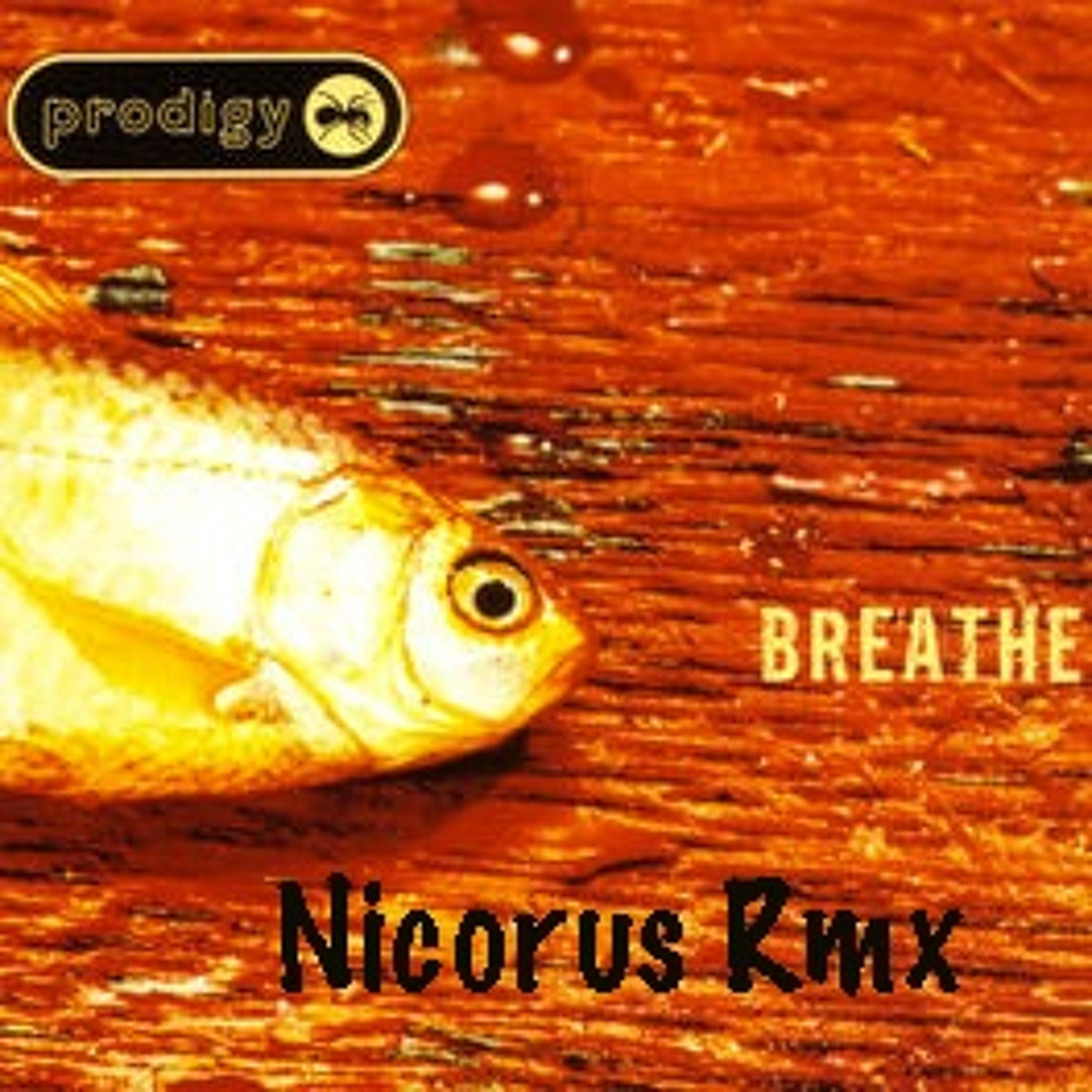 nicorus