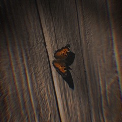 LOSER - JAYY (Ft. ISA.AIH) Prod. By Raspo