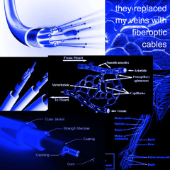they replaced my veins with fiberoptic cables