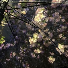 現夢、 현몽 // w。ENEN