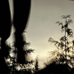 solemn