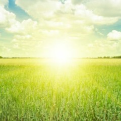 Sunday (Tori Kelly Cover)