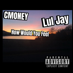 How would You feel ft Lul jay