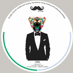 Çesc - Tiny Sound (MRCARTER156)