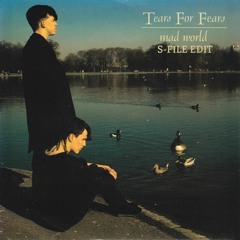 Tears For Fears - Mad World (S-File Edit) FREE DOWNLOAD