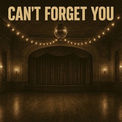 Can't Forget You