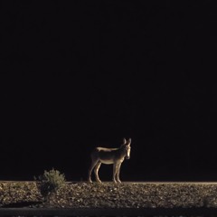 nothing without eachother