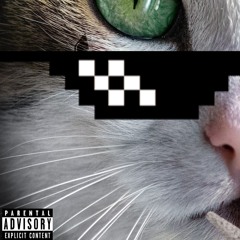 Think Your Cats Bad?