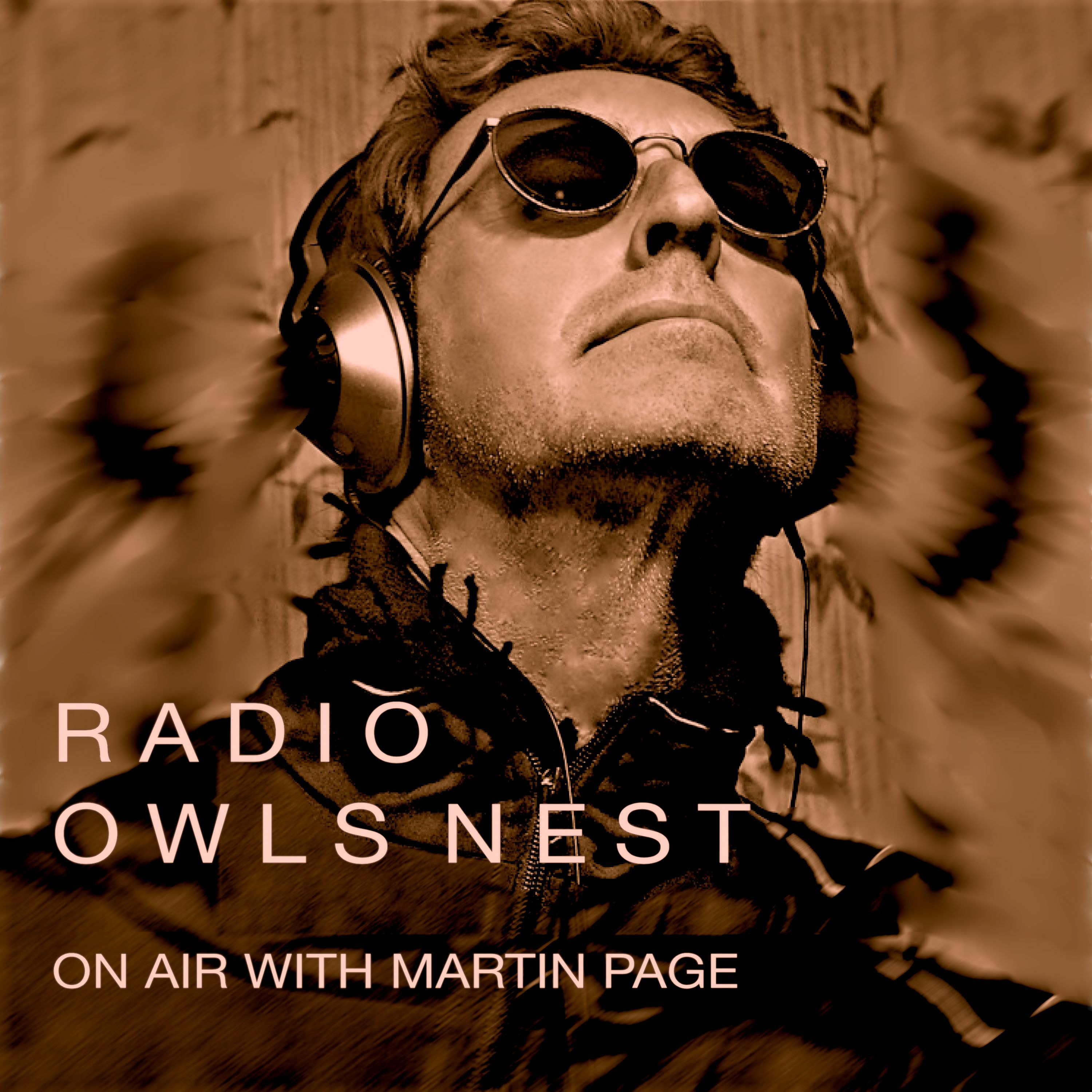 Radio OwlsNest