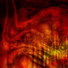 Dreams With Crust - 2023 - 10 - 22 17.57 1