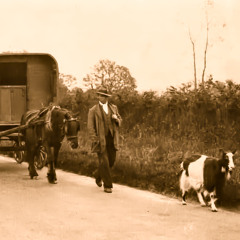The Tinker’s Goat