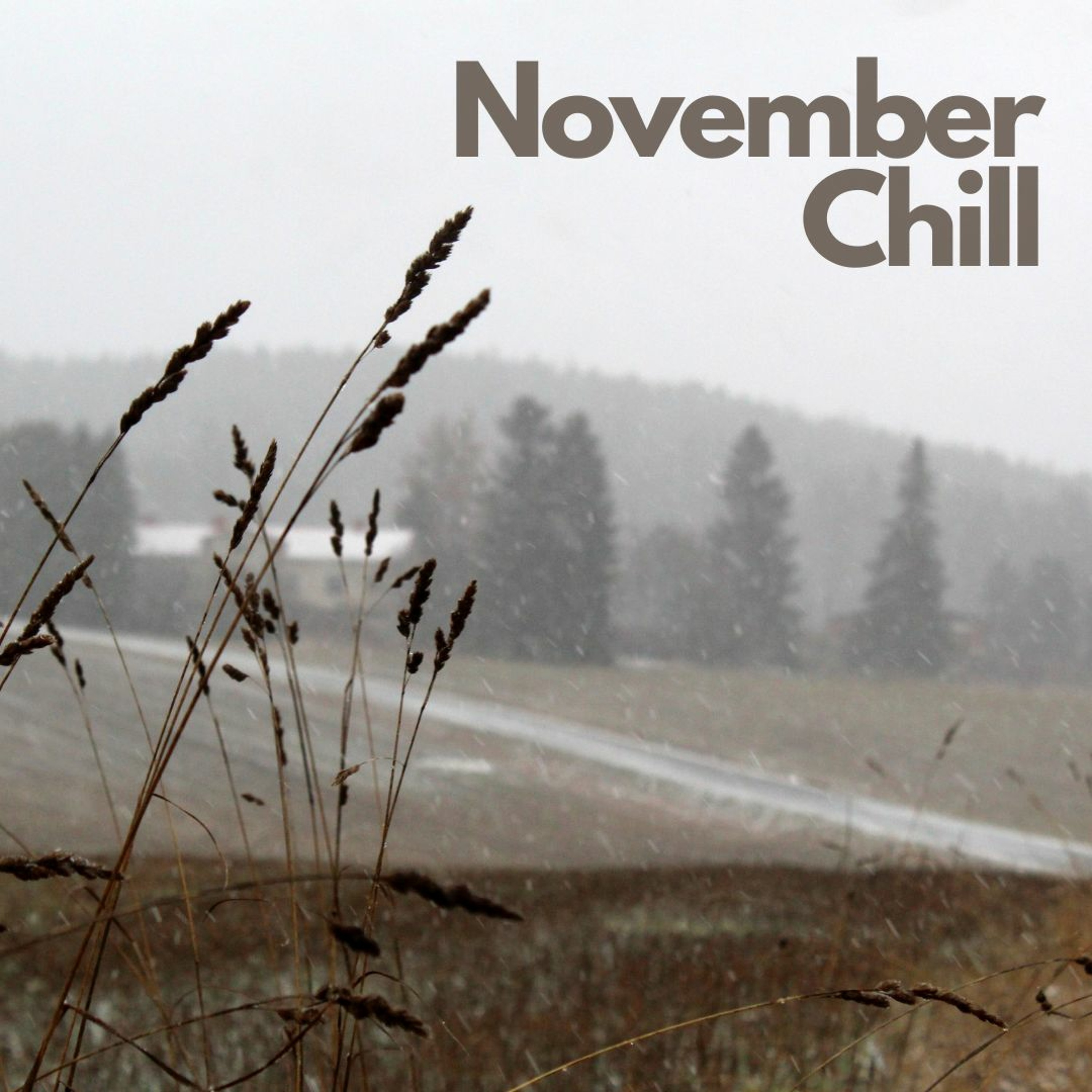 November Chill episode artwork