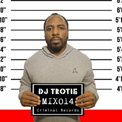 The Usual Suspects Mix014 DJ Trotie